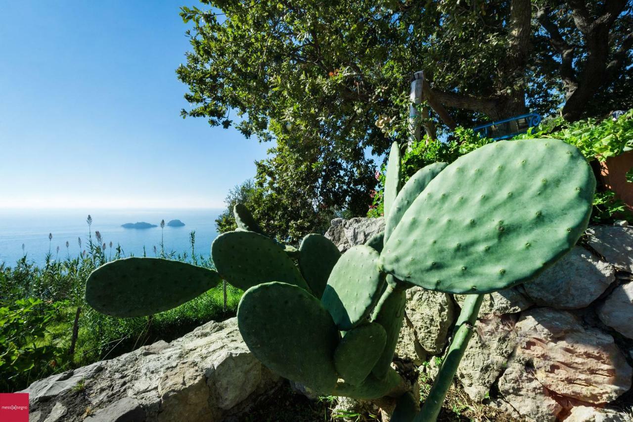 Il Nibbio Lägenhet Piano di Sorrento Exteriör bild