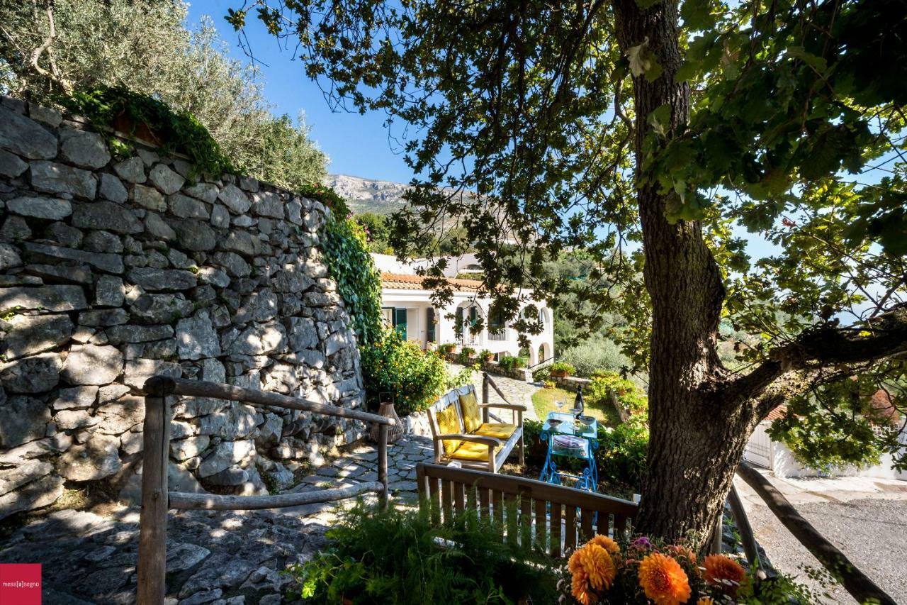 Il Nibbio Lägenhet Piano di Sorrento Exteriör bild
