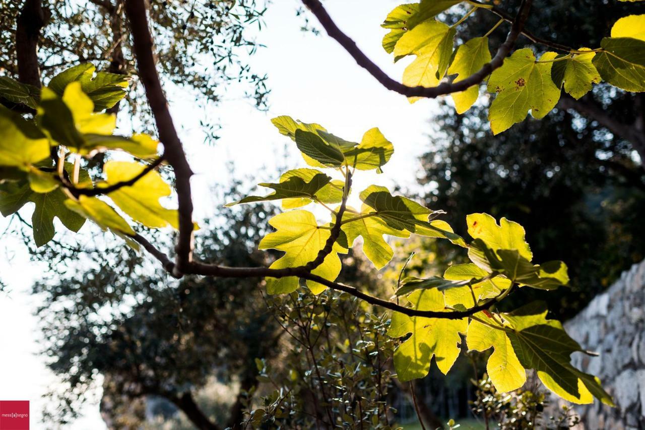 Il Nibbio Lägenhet Piano di Sorrento Exteriör bild