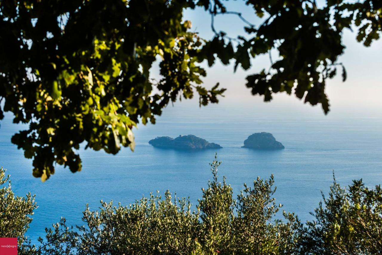 Il Nibbio Lägenhet Piano di Sorrento Exteriör bild