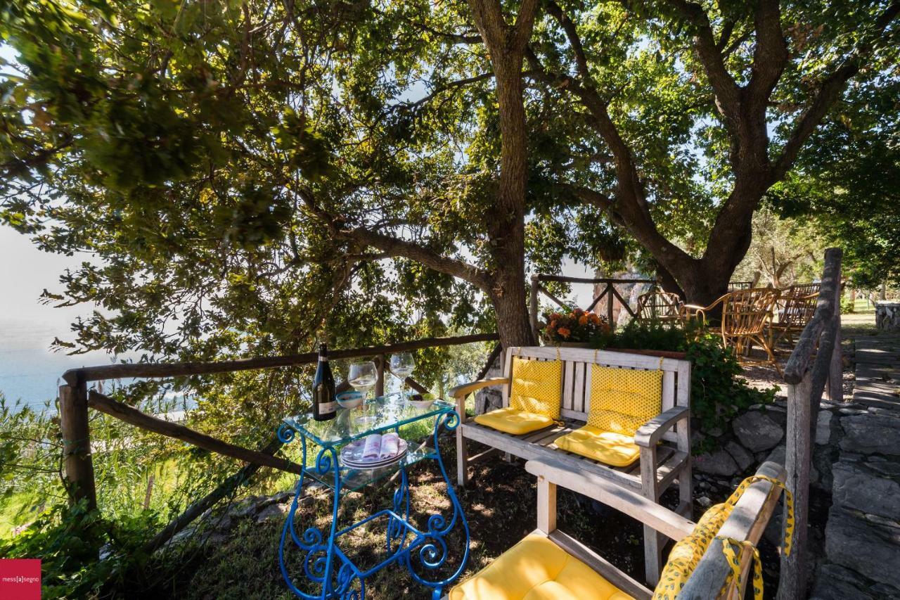 Il Nibbio Lägenhet Piano di Sorrento Exteriör bild