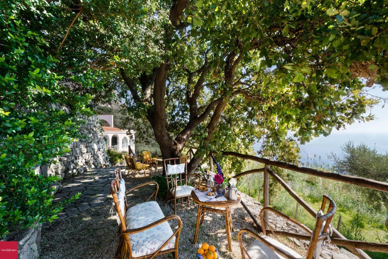 Il Nibbio Lägenhet Piano di Sorrento Exteriör bild